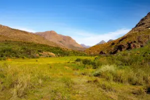 Grünes Tal zwischen den felsigen Cederberg Mountains bei Clanwilliam in Südafrika