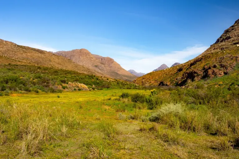 Grünes Tal zwischen den felsigen Cederberg Mountains bei Clanwilliam in Südafrika