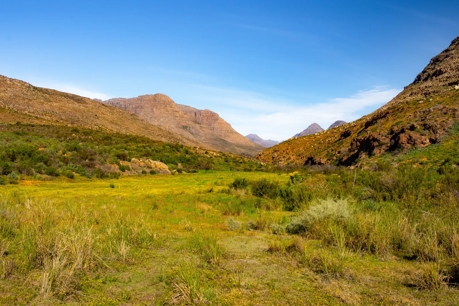 Grünes Tal zwischen den felsigen Cederberg Mountains bei Clanwilliam in Südafrika