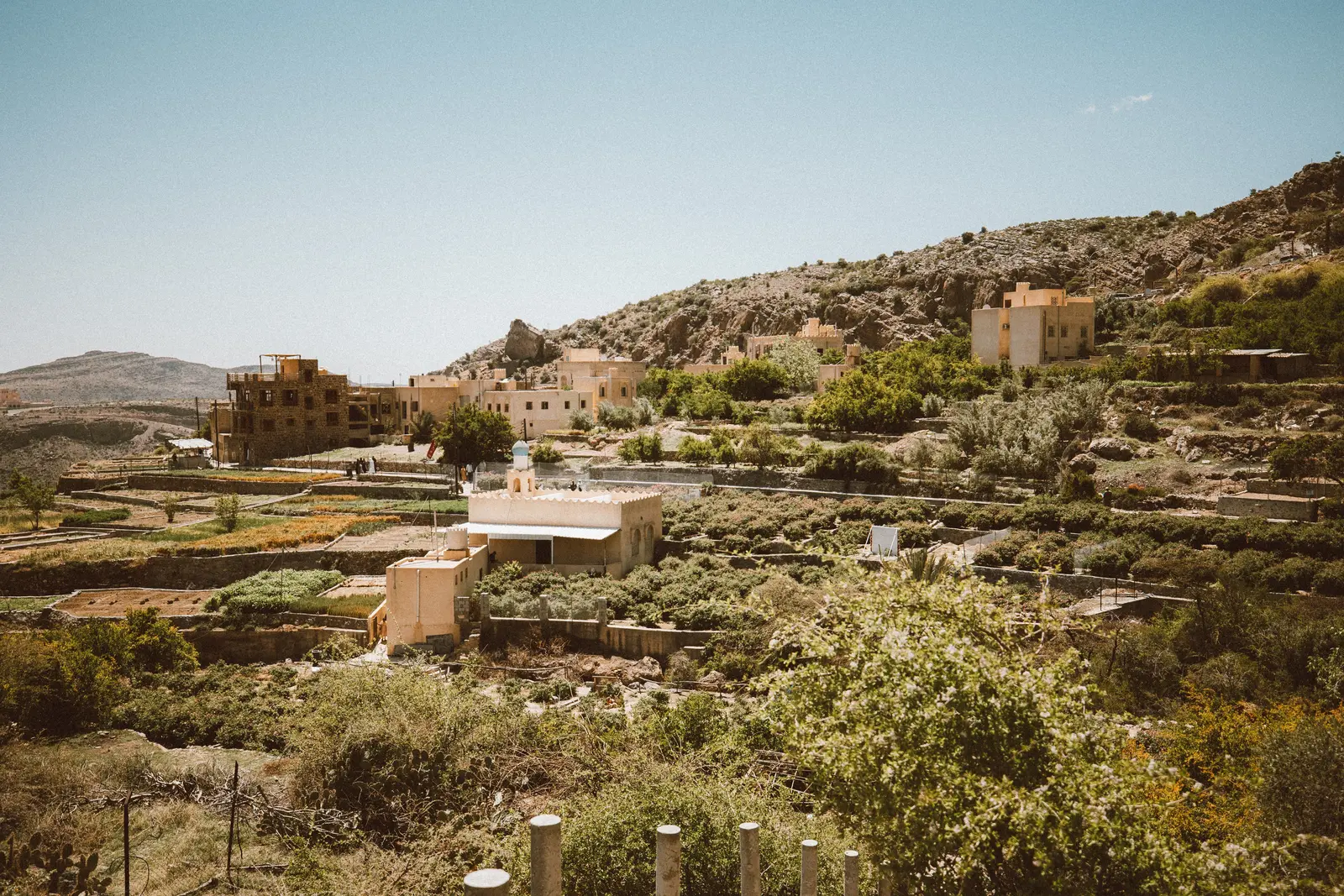 Terrassengärten und Bergdorf am Jabal Akhdar im Oman