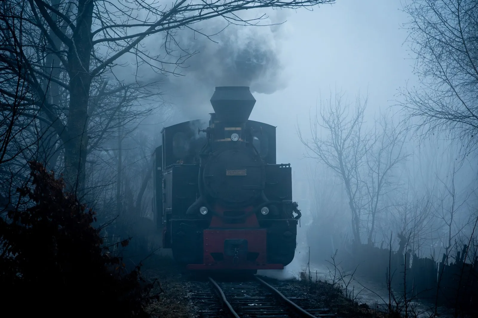 Historischer Mocănița-Dampfzug im nebligen Wald des Vaser-Tals