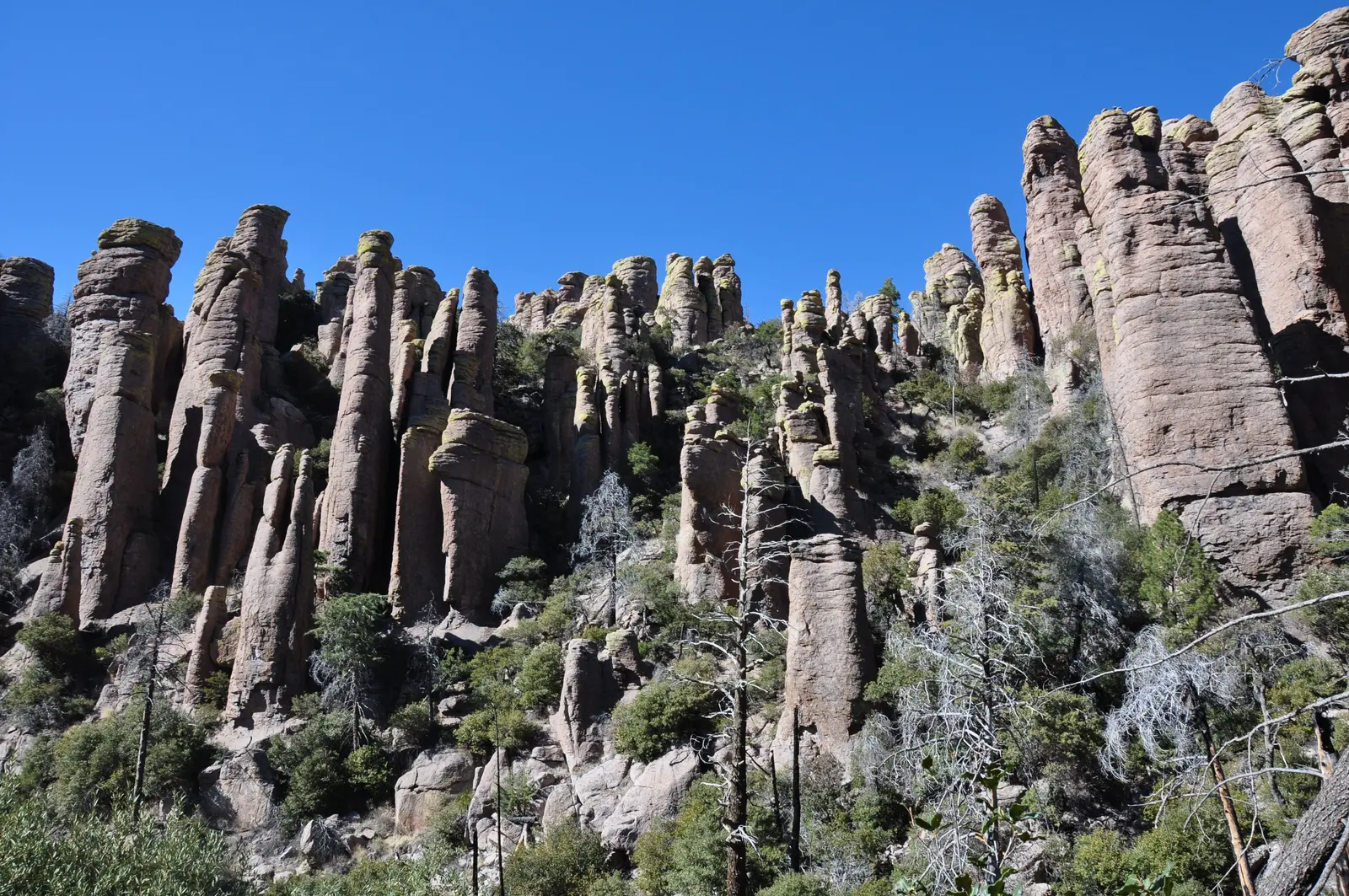 Rhyolith-Felsnadeln im Chiricahua National Monument in Arizona