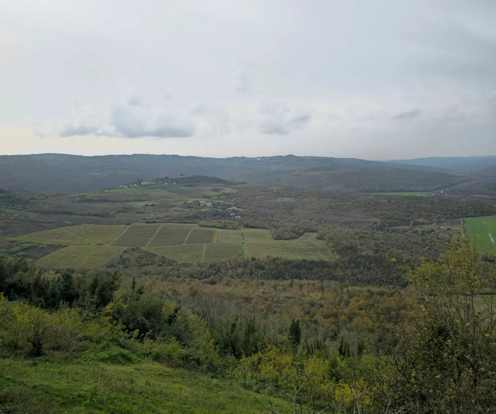 Felder, Weinberge und Wald im Mirna-Tal bei Motovun unter bewölktem Himmel