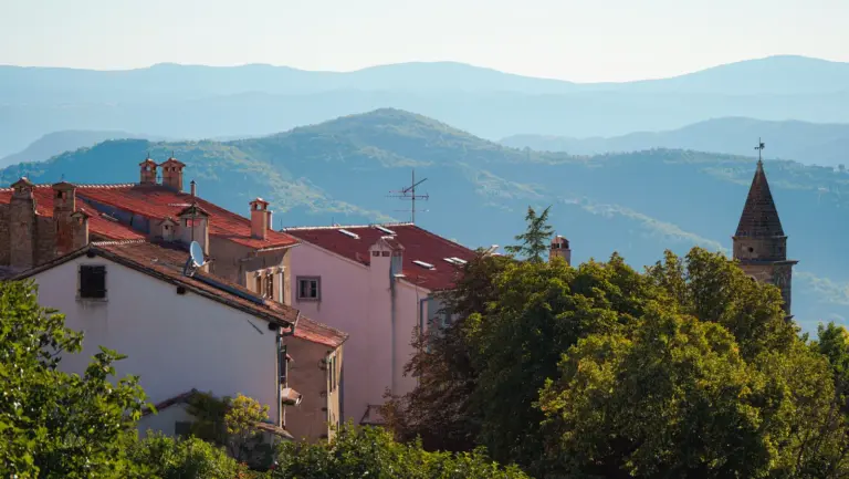 Rote Dächer und Kirchturm von Motovun vor den bewaldeten Hügeln Nordistriens