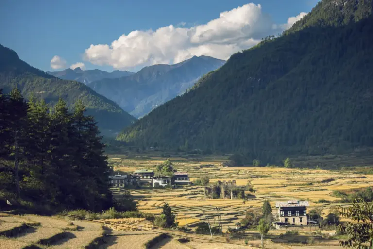 Weites herbstliches Hochtal in Bhutan mit Feldern, Dörfern und bewaldeten Berghängen