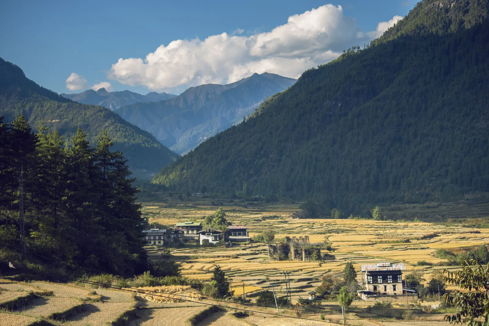 Weites herbstliches Hochtal in Bhutan mit Feldern, Dörfern und bewaldeten Berghängen